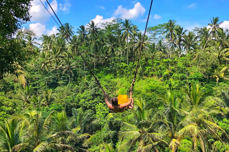 Ubud: Rice Terraces, Waterfall, and Monkey Forest Day Tour - Tour Experience