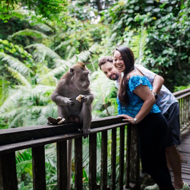 Ubud : Waterfall, Water Temple, RIce Terrace, Ubud Market - Luwak Coffee at Coffee Plantation