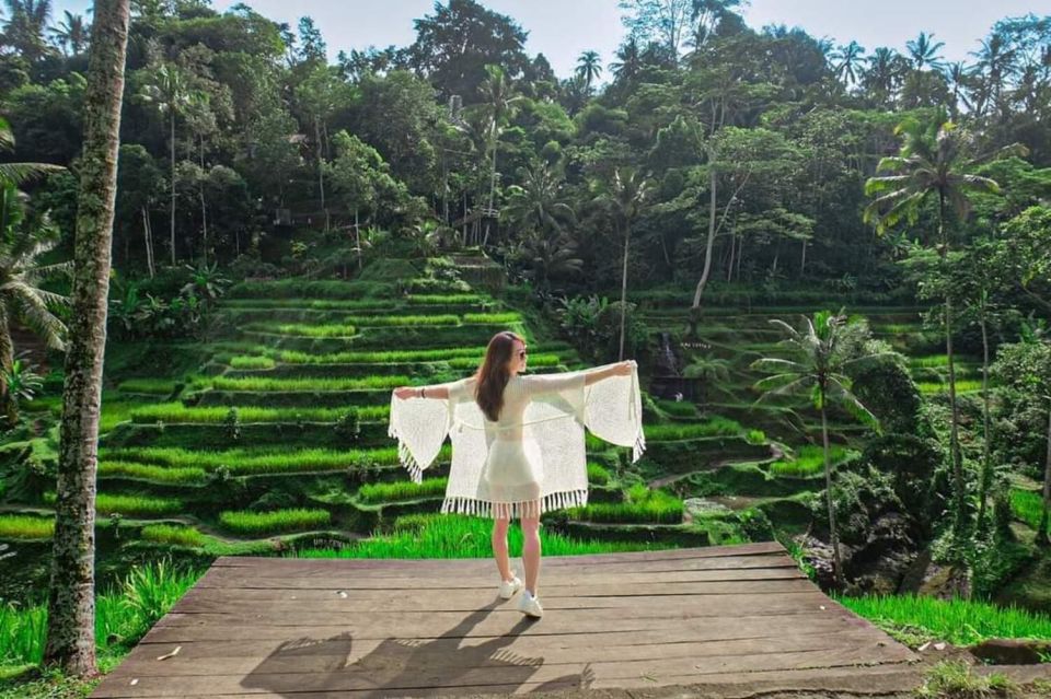 Ubud:Monkey Forest,Rice Terraces,Temple & Waterfalls Tours - Highlights of the Tour