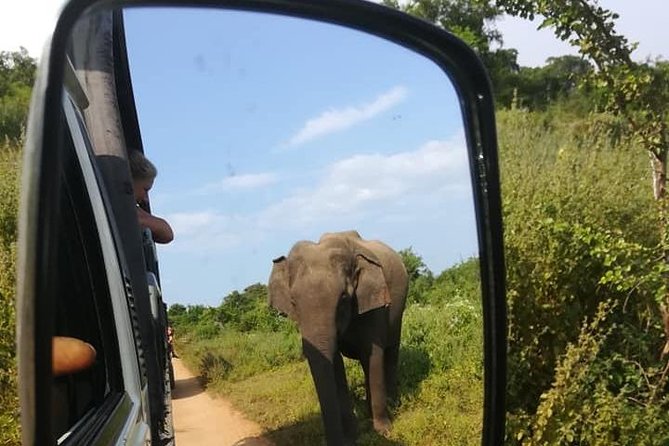 Udawalawe National Park Private 4 Hours Safari Tour - Booking Details