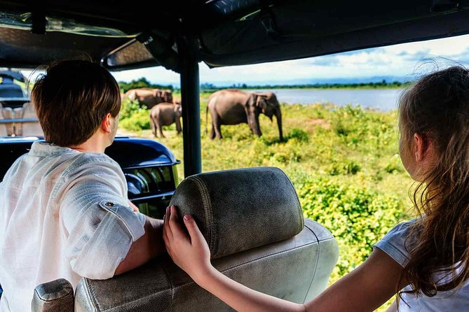 Udawalawe National Park Safari With Elephant Transit Home Visit - Last Words