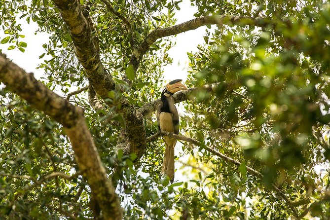 Udawalawe National Park Safari With Naturalist - Cancellation Policy and Weather Conditions