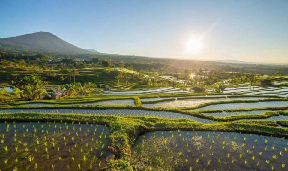 Ulundanu Temple,Jatiluwih & Tanah Lot Sunset-All Inclusive - Tour Information