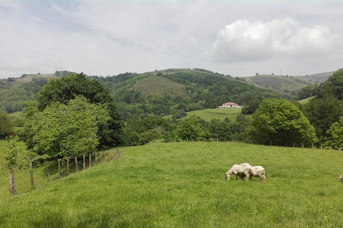 Unspoiled FRENCH BASQUE COUNTRYSIDE - Private Cultural Adeventure - Common questions