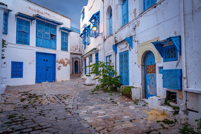 Unveiling the Beauty of Sidi Bou Said and Carthage Private Tour - Common questions