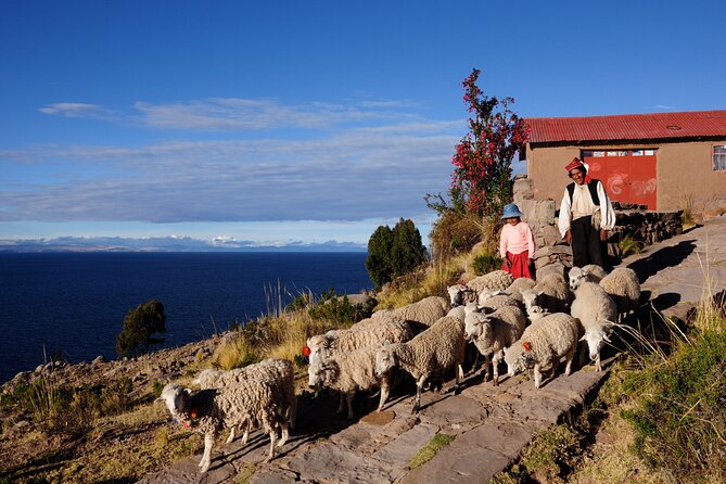 Uros Reed Floating Islands & Taquile Island Titicaca Puno Full Day - Common questions