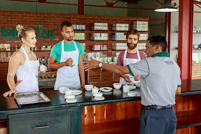 Uva Halpewatte Tea Factory Tour in Ella Sri Lanka - Cancellation Policy