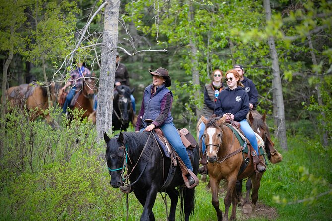 Valley Vista 1.5 Hour Horseback Trail Ride in Kananaskis - Logistics: Meeting Point, Start Time, and Age Requirement