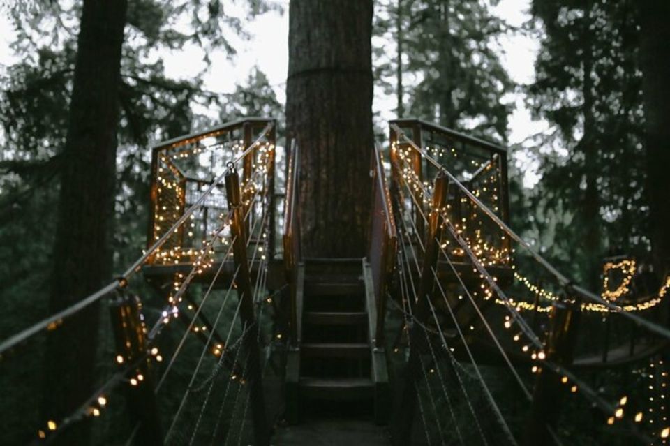 Vancouver Capilano Canyon Light&Peak of Christmas in Grouse - Booking Details