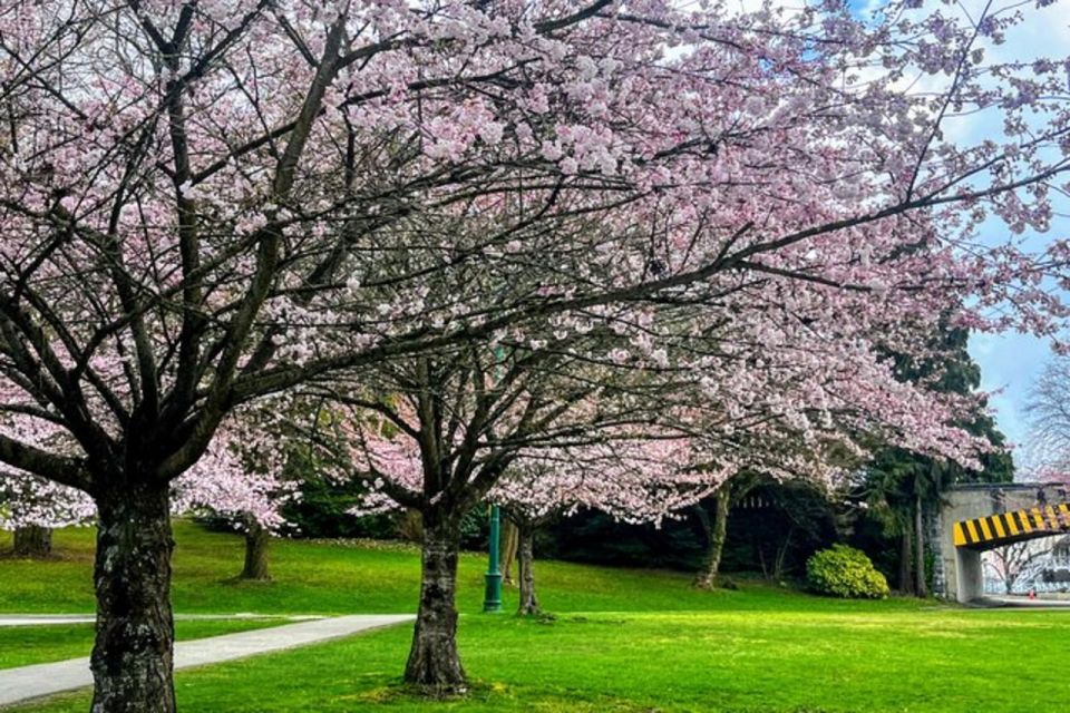 Vancouver City Tour With Cherry Blossom Festival Private - Language Options Available