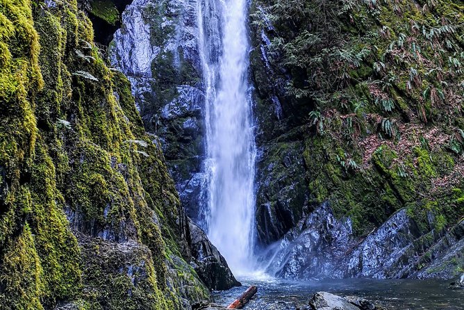 Vancouver Island Rainforest Guided Hike With Private Guide - Accommodations and Flexibility