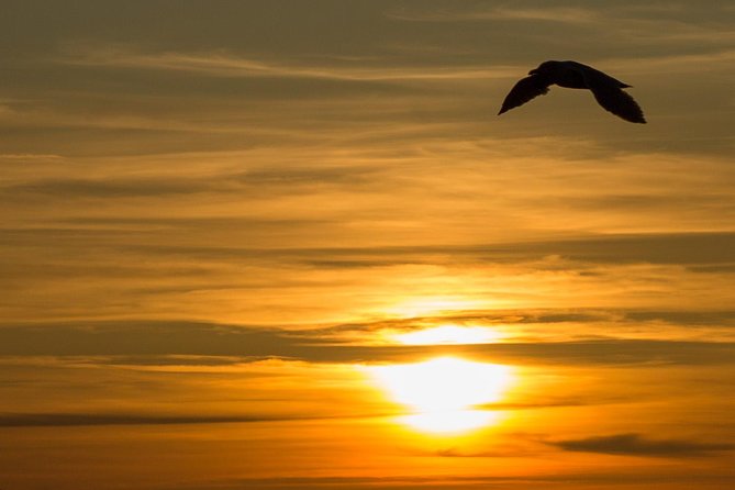 Vancouver: Pacific Northwest Nature Half-Day Small-Group Tour - Tour Information