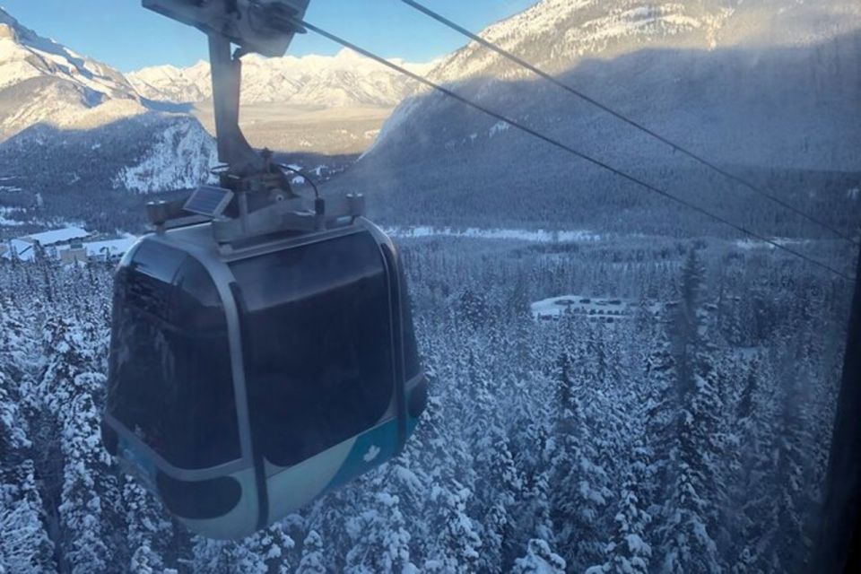 Vancouver Perfect Day Grouse Mountain&Capilano Suspension - Vancouver Tour Details