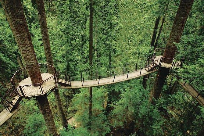 Vancouver Perfect Day Tour Grouse Mountain& Capilano Suspention Bridge Private - Additional Tour Insights