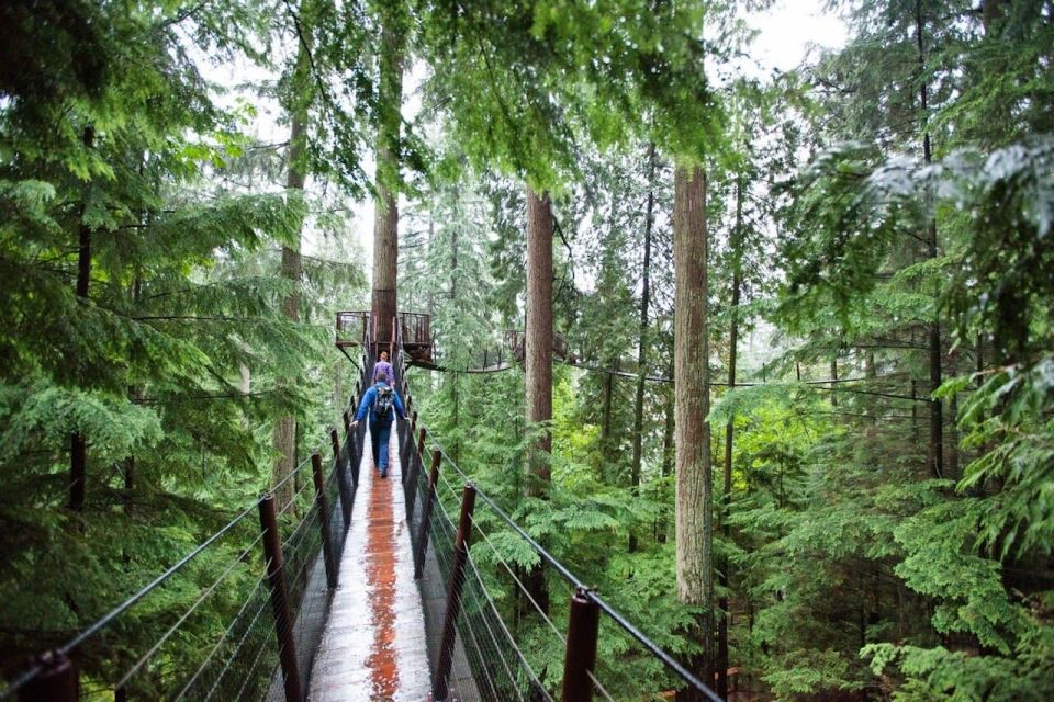 Vancouver: Small Group Tour W/Capilano & Grouse Mtn Lunch - Review Summary