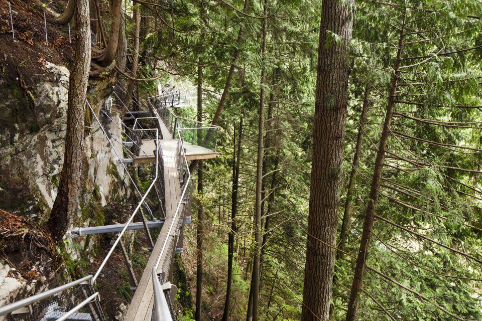 Vancouver Tour Grouse Mountain & Capilano Suspension Bridge - Additional Information