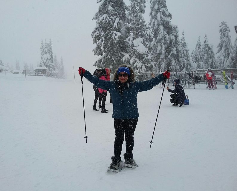 Vancouver Winter Fun Mountain Adventure Tour Private - Activity Description