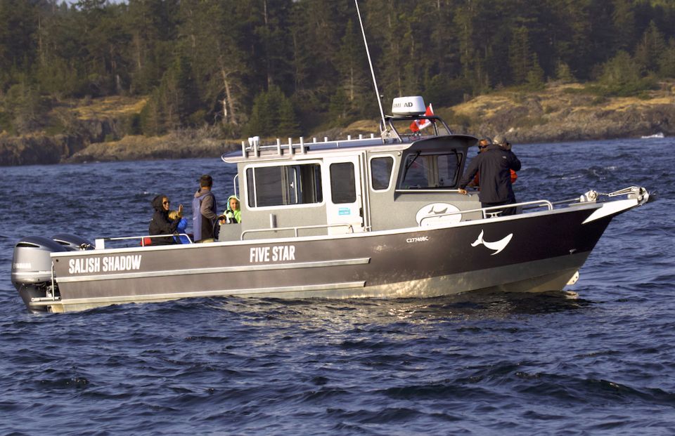 Victoria: Sunset Whale Watching Tour - Sunset Experience Highlights