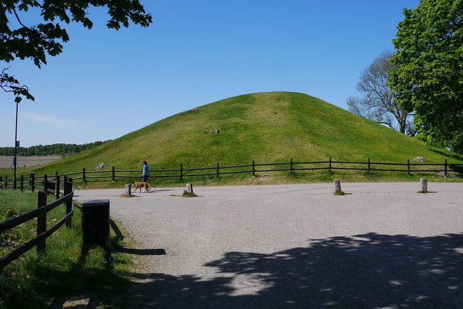 Viking History, Fika & Countryside 9h Tour to Sigtuna & Uppsala - Tour Inclusions and Highlights