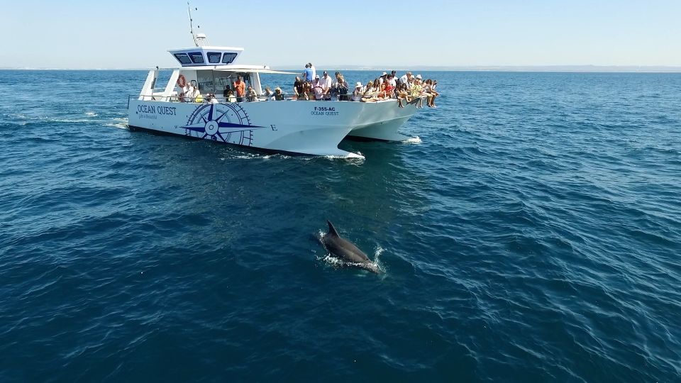 Vilamoura: Boat Tour Dolphin Quest - Common questions