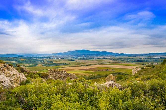 Vineyard Walk in the Garrigue - Support and Queries