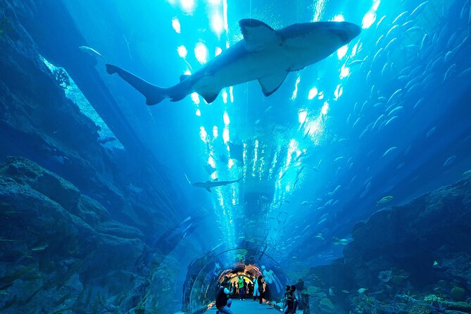 VIP Experience Dubai Aquarium & Underwater Zoo-As per Selection - Logistics and Policies