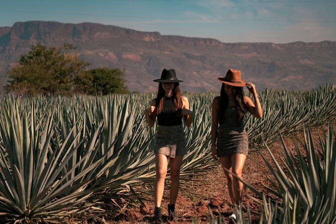 Vip Tequila Experience - Traveler Photos and Recommendations