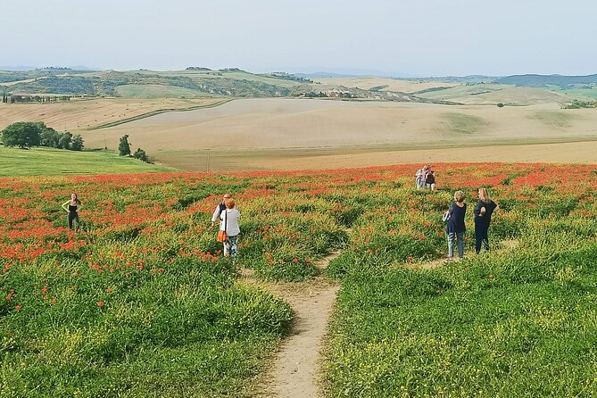 VIP Wine Experience Montalcino & Montepulciano With Lunch - Wine Pairing Session