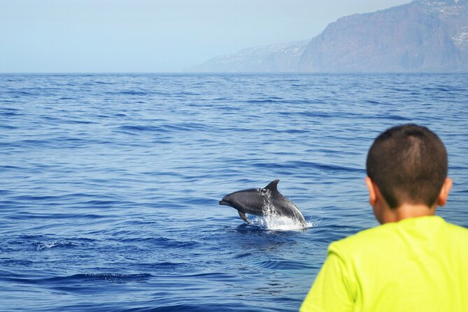 VipDolphins Luxury Whale Watching - Overall Experience and Highlights