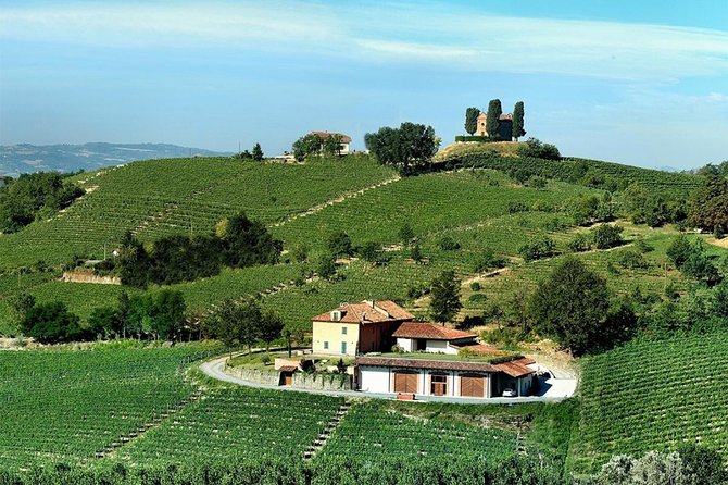 Visit Among Vineyards and Wine Cellar With Wine Tasting in Nizza Monferrato - Cancellation Policy