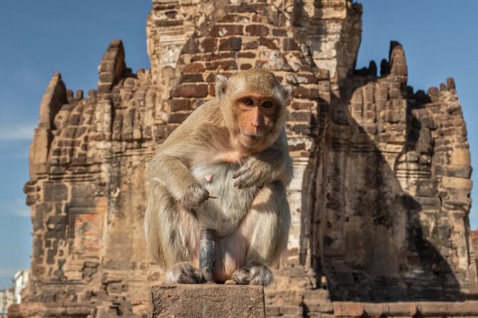 Visit of Lopburi, the Monkeys City, From Bangkok With Your English-Speaking Guide - Directions to Lopburi From Bangkok