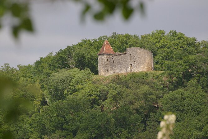 Visit of the Château Du Cros and Introduction to Tasting - Cancellation Policy