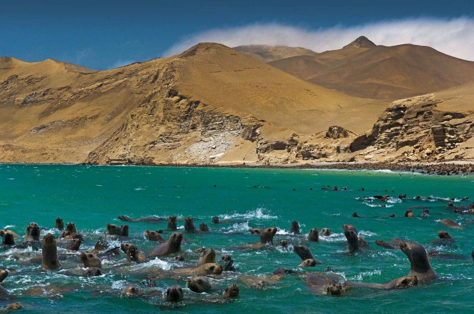 Visit Peru in 14 Days Lima-Huacachina-Cusco-Puno-Arequipa - Group Tours and Experiences