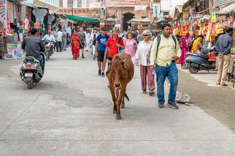 Visit Pushkar With Bikaner Drop From Jaipur - Location Information in Pushkar