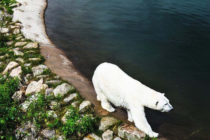 Visit Ranua Arctic Wildlife Park - Last Words