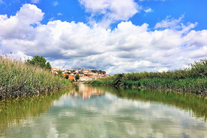 Visit Silves & Explore the Arade River Eco-Friendly Solar Boat - Host Responses and Gratitude