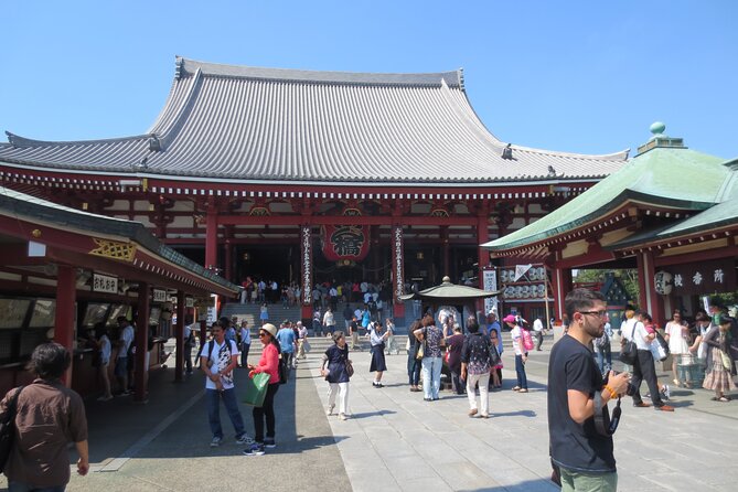 Visit Tokyo City in Group With the Italian Speaking Guide Full Day - Tour Details