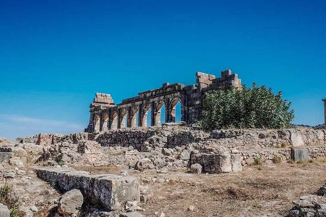 Volubilis and Meknes Day Trip From Fez - Booking Process