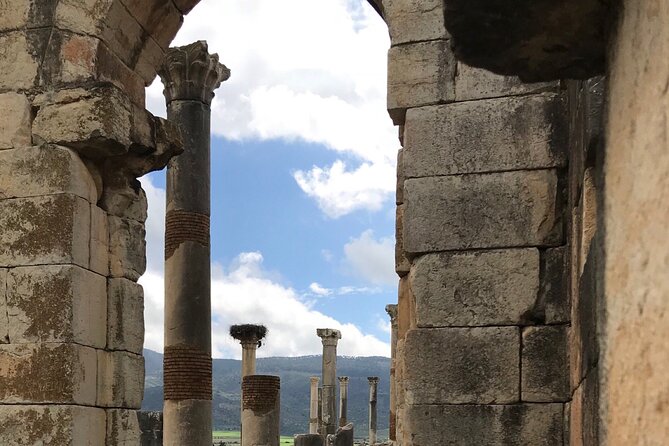 Volubilis, Moulay Idriss and Meknes Day Trip From Fez - Reviews