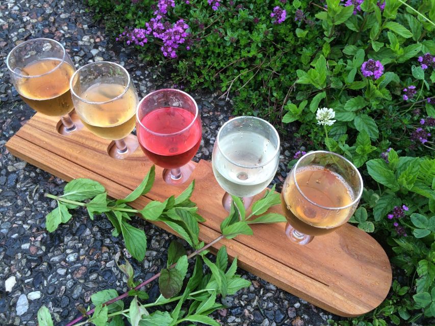Voss: Guided Fjord & Cidery Tour to Balestrand - Booking Information