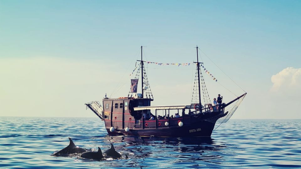 Vrsar: Dolphin Watching Boat Ride - Customer Reviews