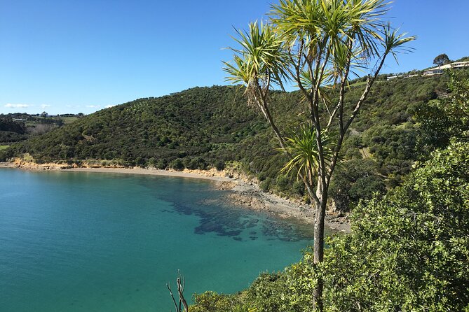 Waiheke Island Private Double Headland Walk - Essential Items to Bring