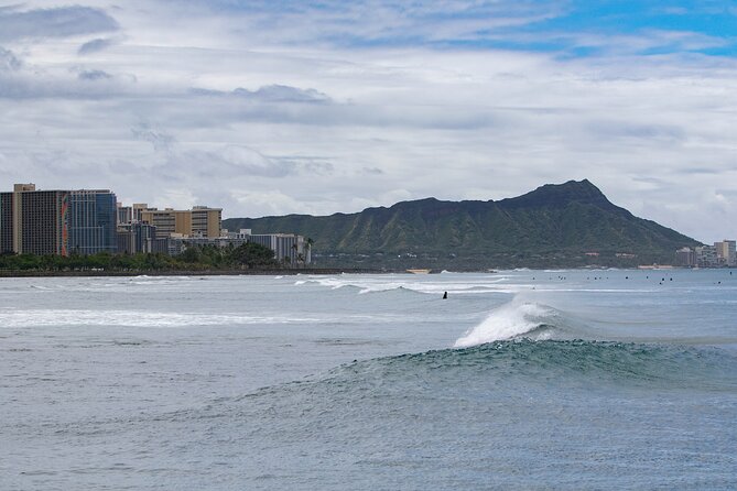 Waikiki Panorama Sail Search for Hawaiian Sea Turtles - Customer Feedback