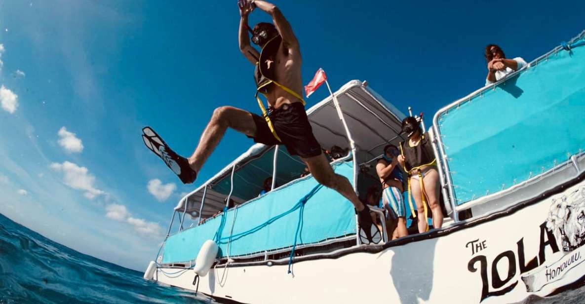 Waikiki: Snorkel Tour With Hawaiian Green Sea Turtles - Booking and Payment