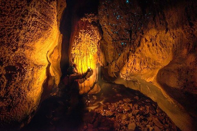Waitomo Caves Private Tour From Auckland - Minimum Traveler Requirements for Private Tour