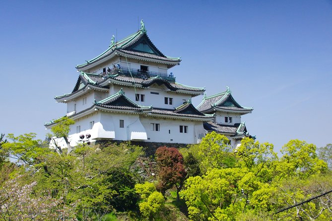 Wakayama Castle Town Walking Tour - Enjoying Local Cuisine and Snacks