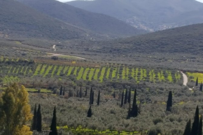 Walk at the Paths of Olive Groves and Vineyards in Monemvasia - Additional Information