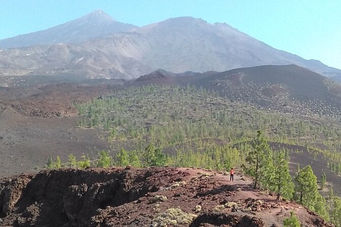 Walking on the Moon Around the Volcano Teide in Tenerife - Booking Information
