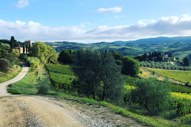 Walking Tour of Chianti Classico With 3 Organic Wine Tasting and Lunch - Last Words