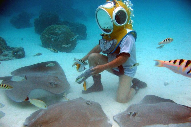 Walking Under the Sea in Moorea - Last Words